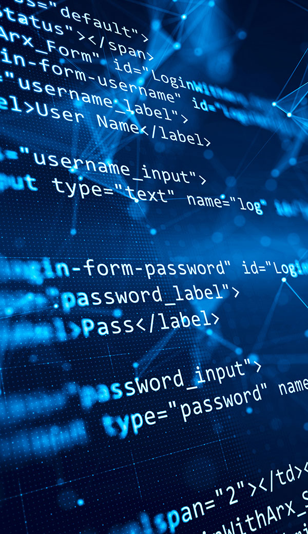 website developer